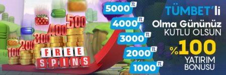 tumbetliolmapromo-son.jpg tumbetliolmapromo-son.jpg